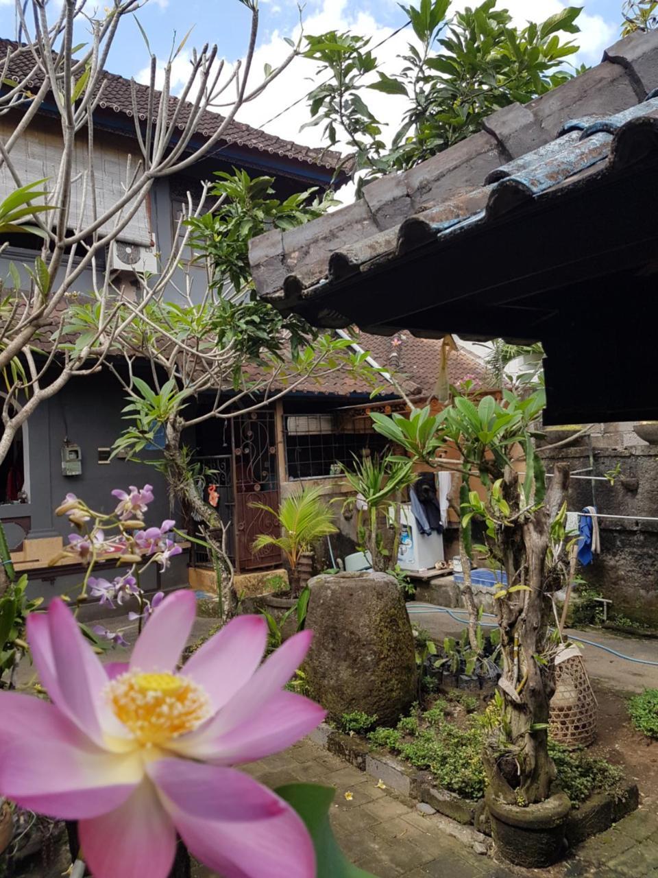 Mawar Homestay Canggu 외부 사진